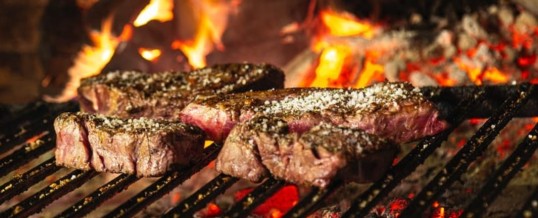 Barbacoa en la casa rural